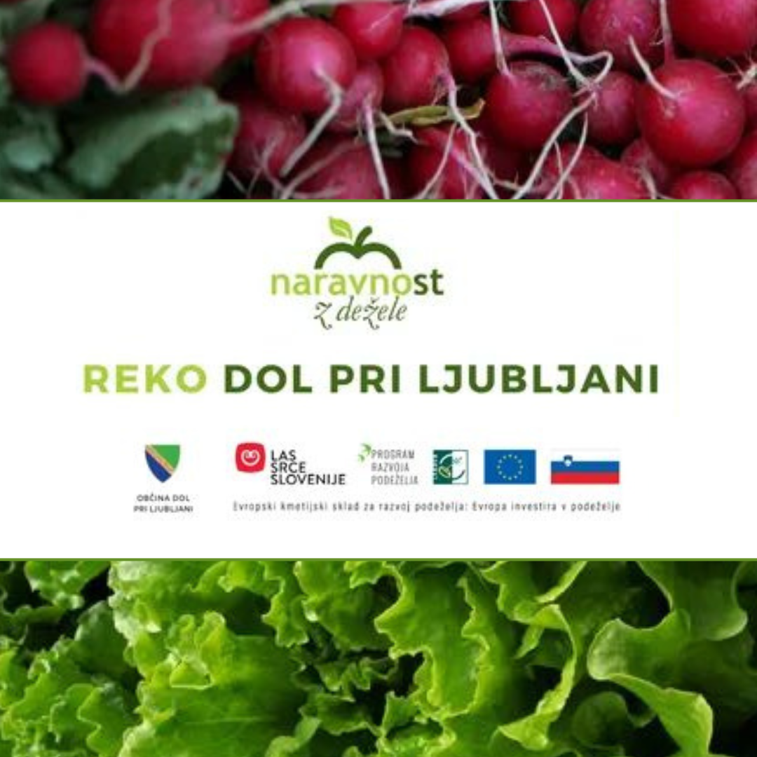 REKO Dol pri Ljubljani
